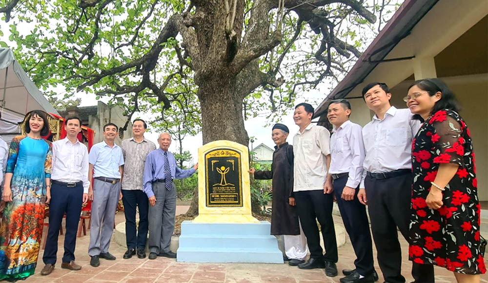 Ba[-]cây[-]ở[-]Hà[-]Trung[-]-[-]Thanh[-]Hóa[-]được[-]công[-]nhận[-]là[-]Cây[-]Di[-]sản[-]Việt[-]Nam[-]